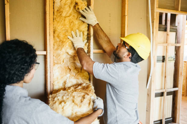 Best Professional Insulation Contractor  in Wurtsboro, NY